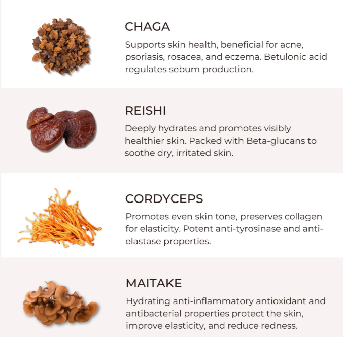 Unlock the Secrets of Mushrooms - Skin Brightening Serum Book