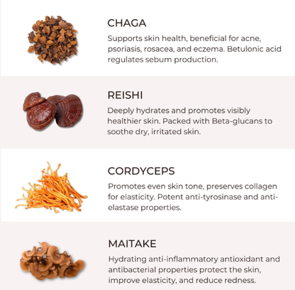 Unlock the Secrets of Mushrooms - Skin Brightening Serum Book